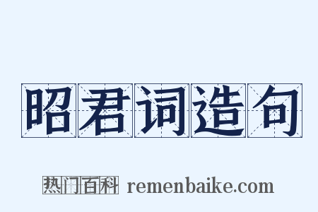 昭君词造句是什么意思的图片